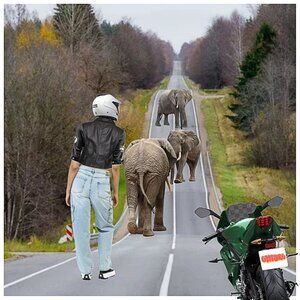 Empyre Tori Light Blue Wash Cargo Skate Jeans